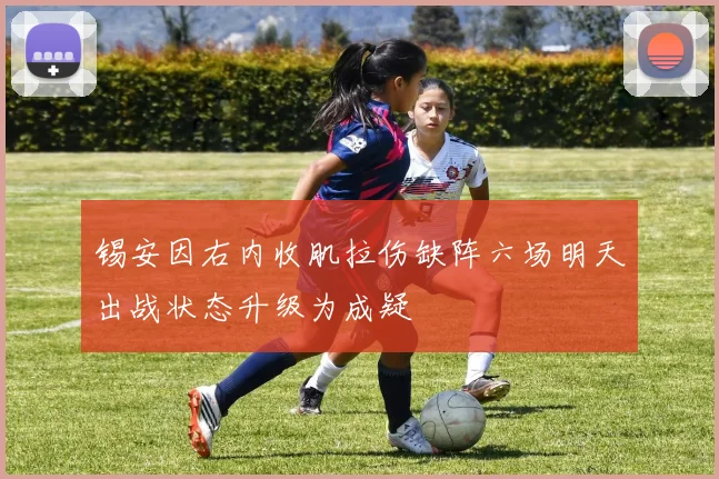 锡安因右内收肌拉伤缺阵六场明天出战状态升级为成疑