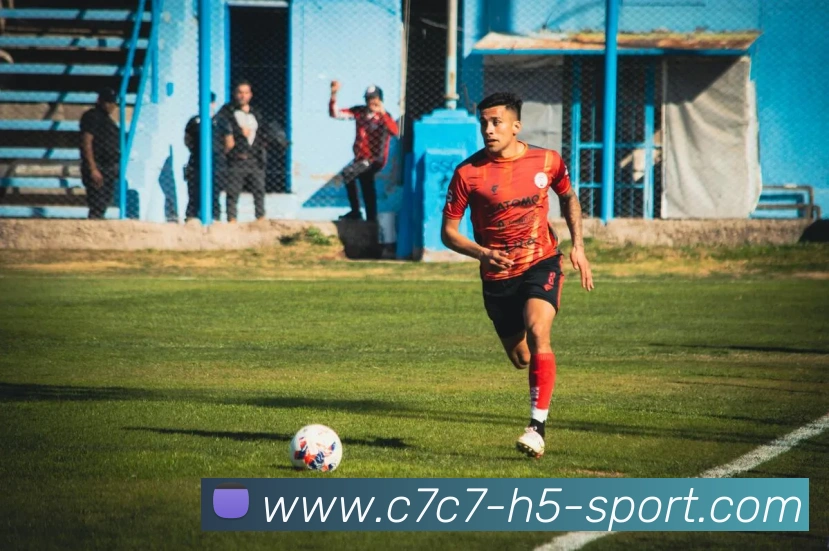 C7C7娱乐服务体系